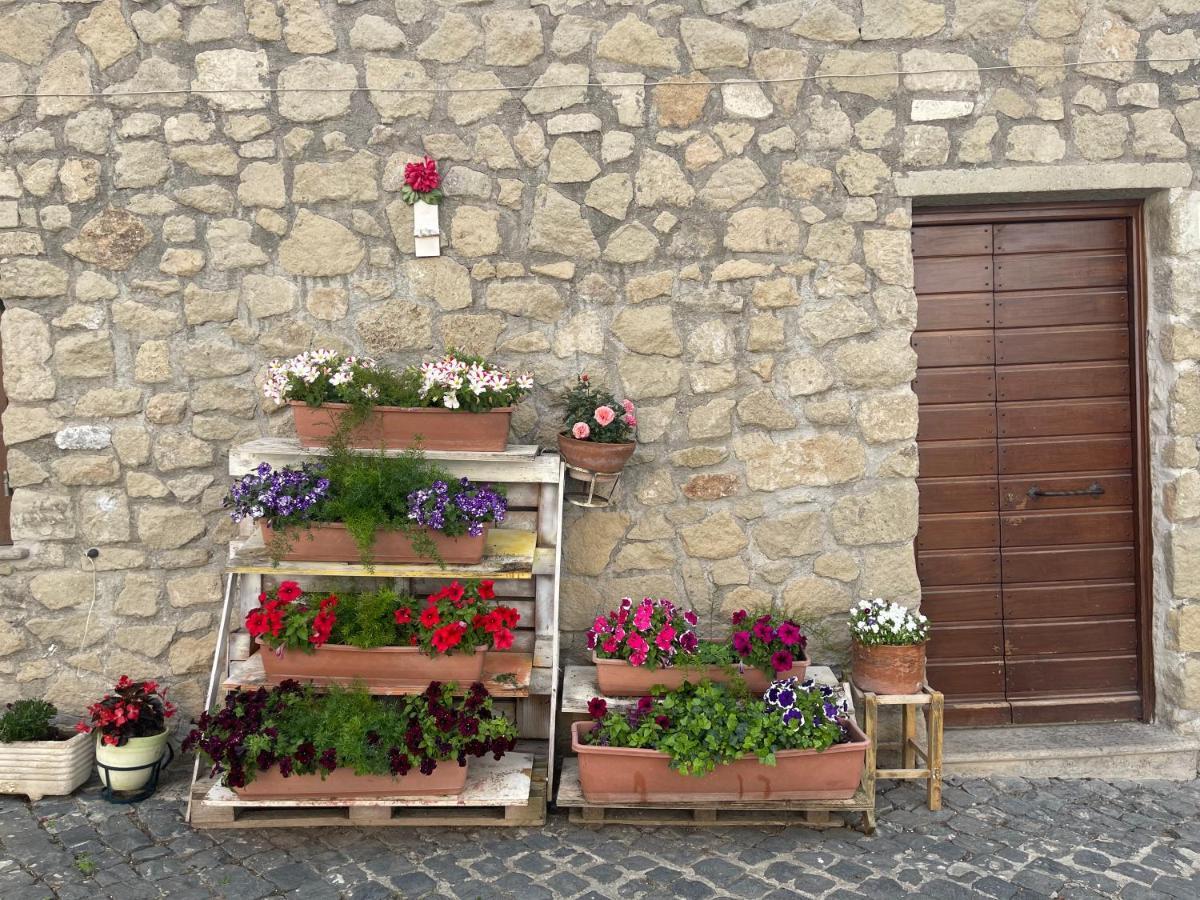 Luminoso Appartamento Sul Lago - Lake Court Anguillara Sabazia Exterior foto